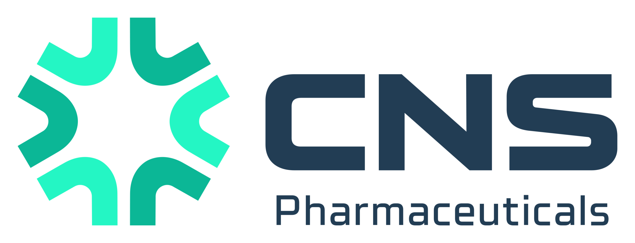 CNS Pharmaceuticals CEO, Rami Levin, Participates in Virtual Investor CEO Connect Segment Highlighting Company’s Recent Strategic Transformation Progress
