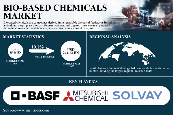 Bio-Based Chemicals Market to Reach USD 244.12 Billion by 2035 as Sustainable Alternatives Gain Momentum Across Packaging and Industrial Applications | Research by SNS Insider