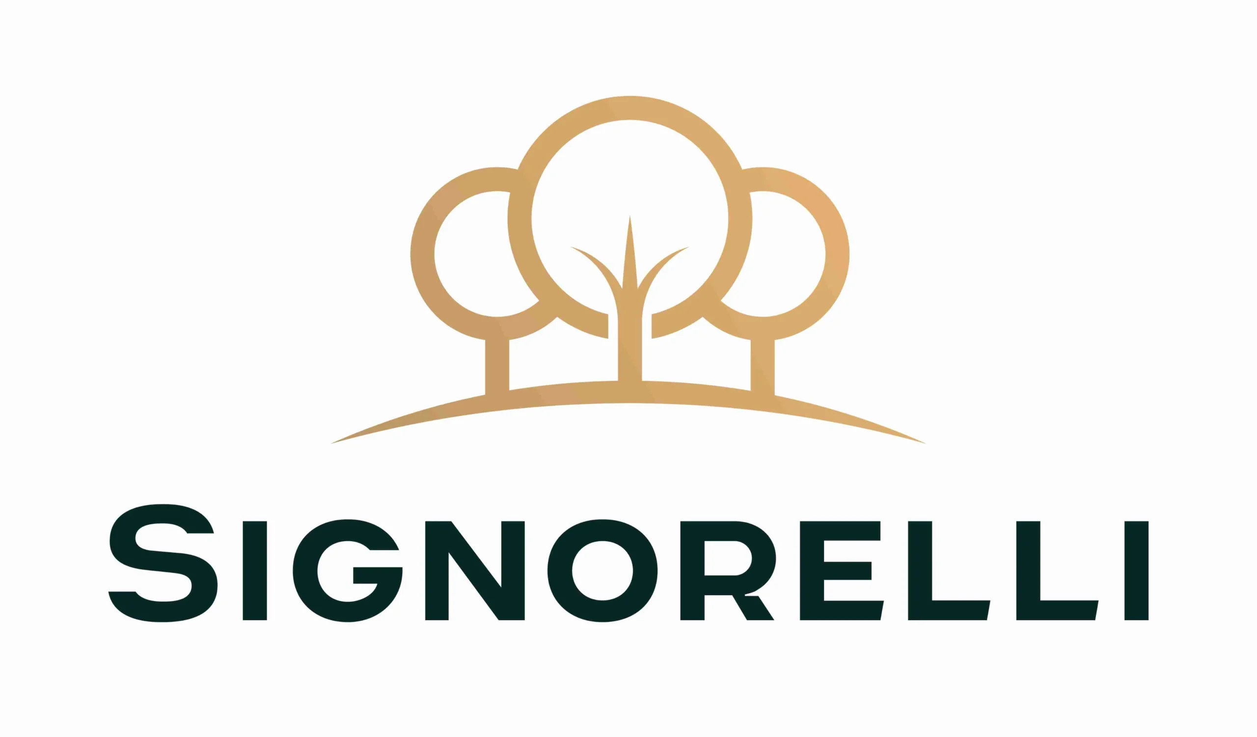 Signorelli Unveils 55-Acre Commerce District at Valley Ranch